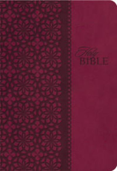 KJV Study Bible, Leathersoft, Red/Pink, Thumb Indexed, Red Letter