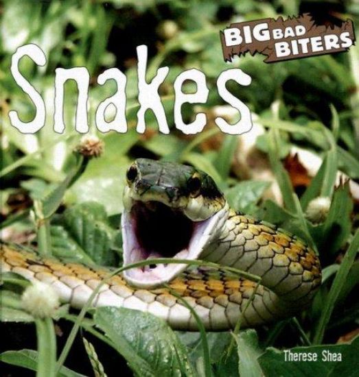 Snakes