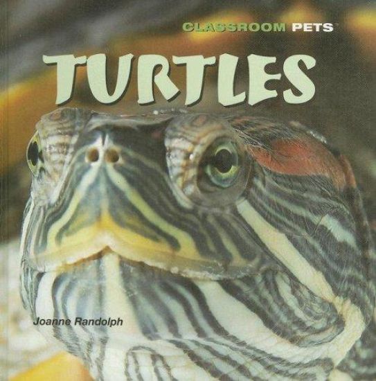 Turtles