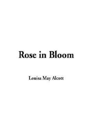 Rose in Bloom