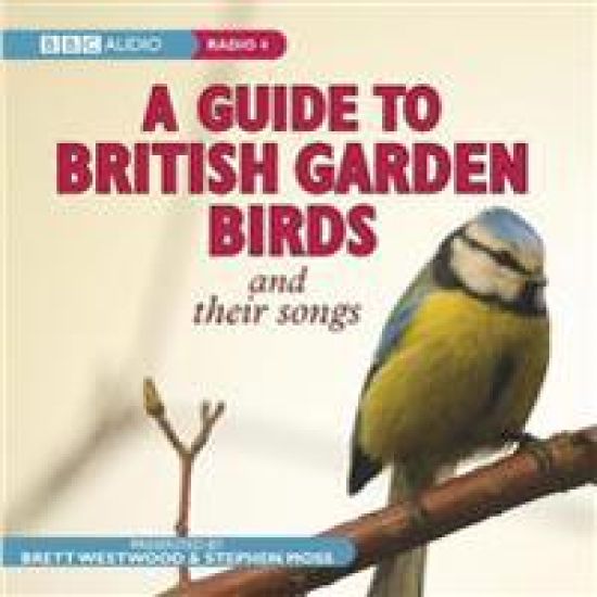 A Guide To British Garden Birds