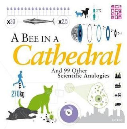 A Bee in a Cathedral