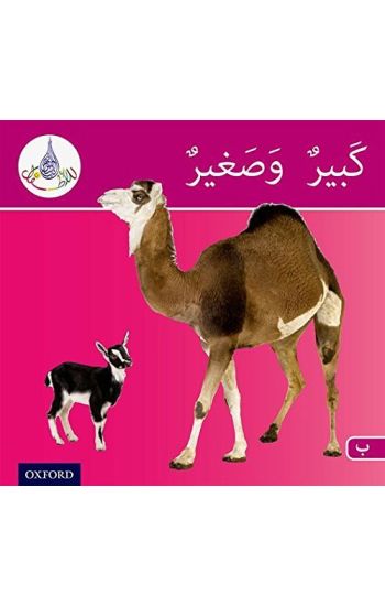 The Arabic Club Readers: Pink Band B: Big and Small
