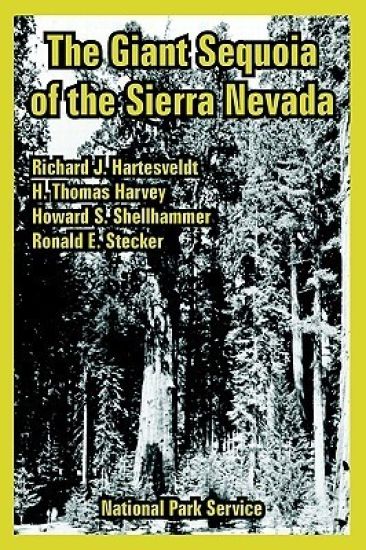 The Giant Sequoia of the Sierra Nevada