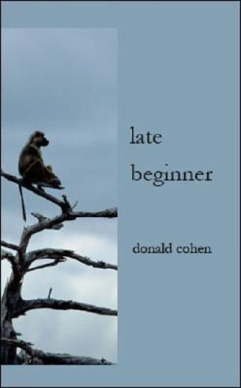 Late Beginner