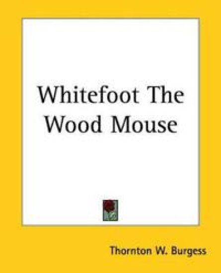 Whitefoot The Wood Mouse