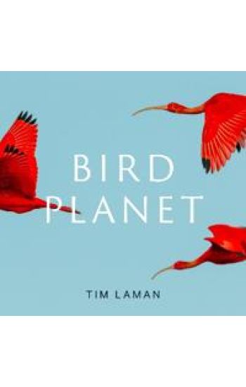 Bird Planet