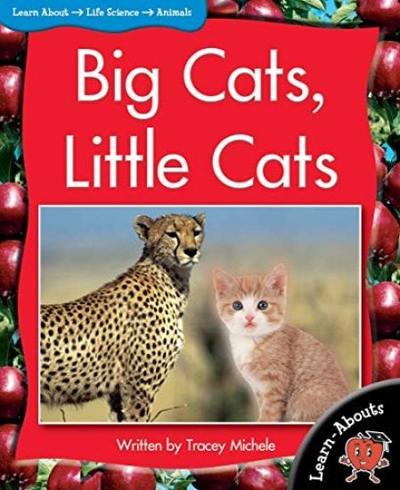 Learnabouts Lvl 9: Big Cats, Little Cats