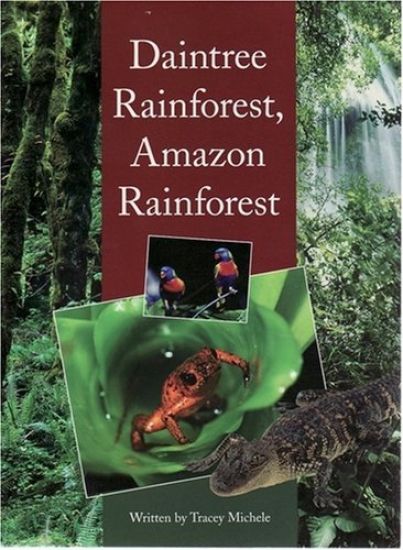 Springboard Middle: Daintree Rainforest,