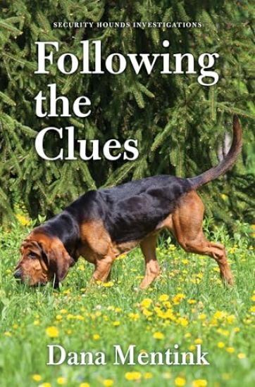 Following the Clues