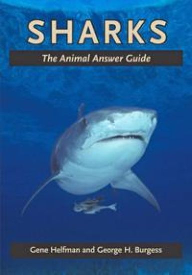 Sharks