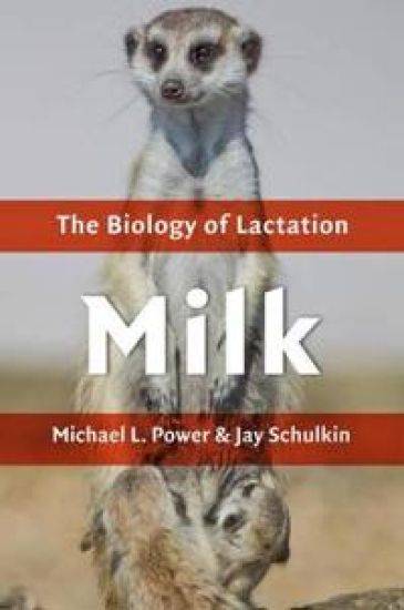 Milk