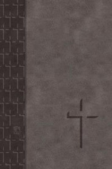 Tpt New Testament (2020 Edition) Large Print Grey
