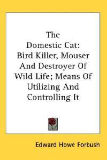 The Domestic Cat