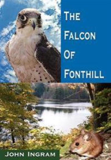 The Falcon Of Fonthill