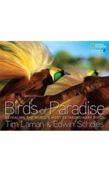 Birds of Paradise