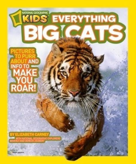 Everything Big Cats