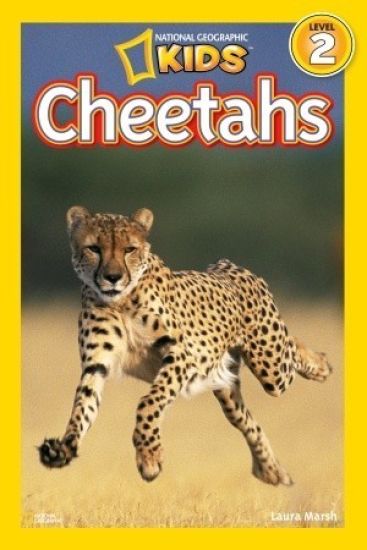 Cheetahs (National Geographic Kids Readers, Level 2)