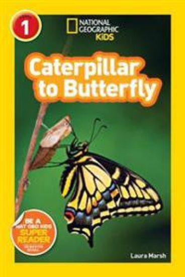 Caterpillar to Butterfly (National Geographic Kids Readers, Level 1)