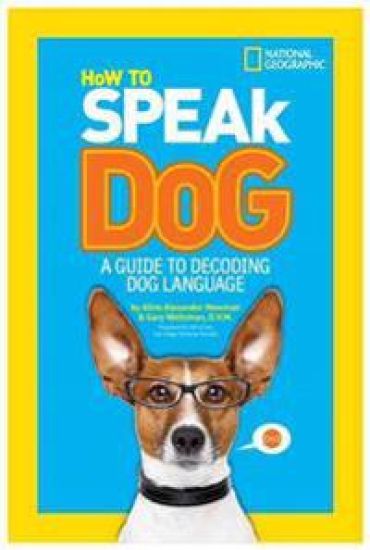 How to Speak Dog: A Guide to Decoding Dog Language