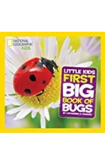 Little Kids First Big Book of Bugs