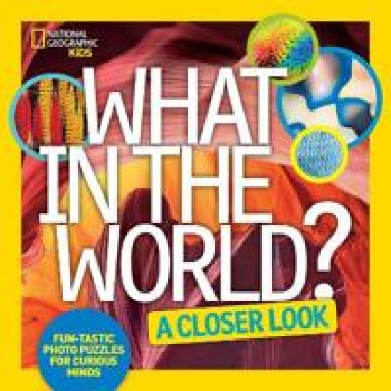What in the World? A Closer Look