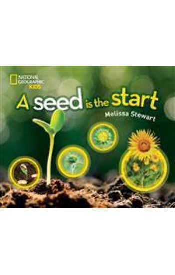 A Seed Is the Start