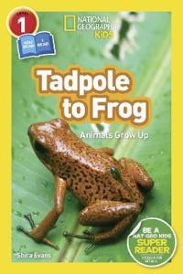 National Geographic Kids Readers: Tadpole to Frog (L1/Co-reader)