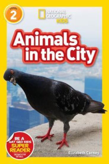 Animals in the City (National Geographic Kids Readers, Level 2)