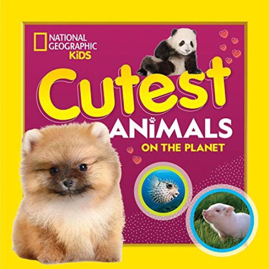 Cutest Animals on the Planet
