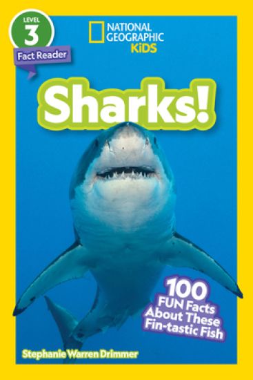 Sharks!