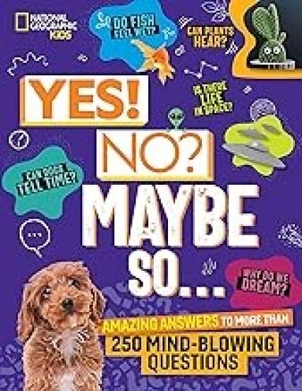 Yes! No? Maybe So...: Amazing Answers to More Than 250 Mind-Blowing Questions