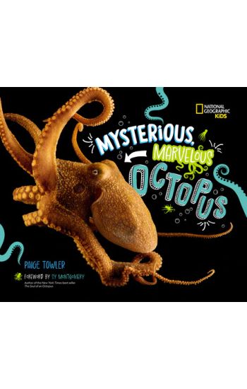 Mysterious, Marvelous Octopus! – Paige Towler, kirjan kansikuva