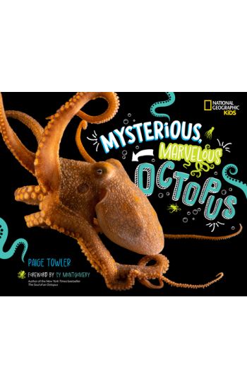 Mysterious, Marvelous Octopus