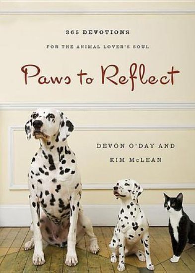 Paws to Reflect
