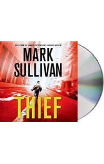 Thief: A Robin Monarch Novel