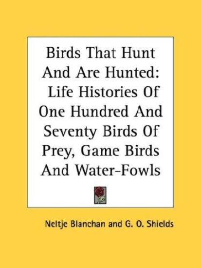Birds That Hunt and Are Hunted