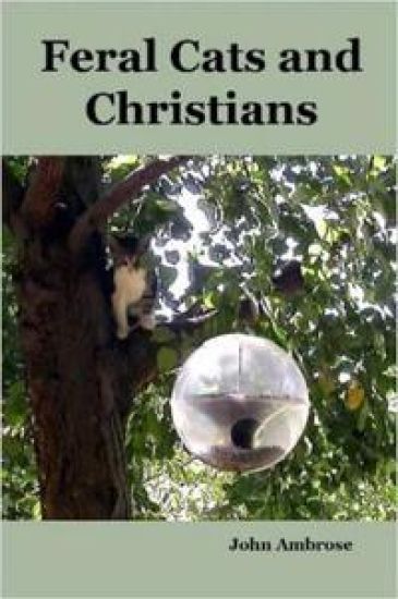 Feral Cats and Christians
