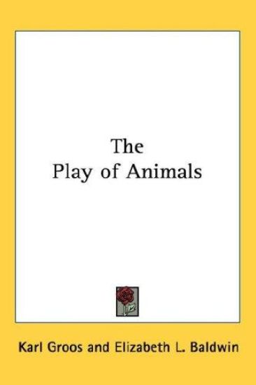 The Play of Animals