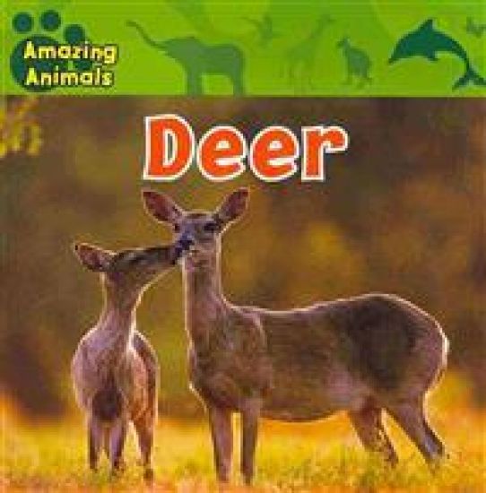 Deer