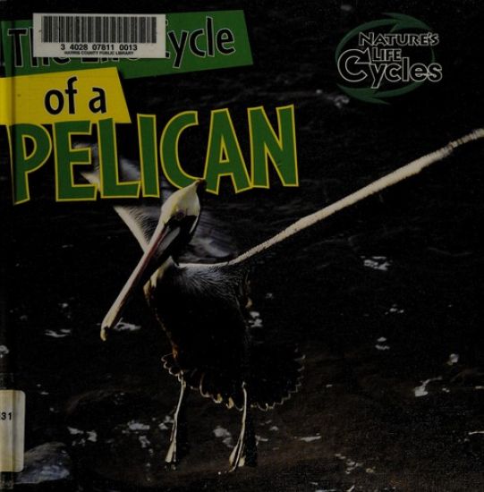 The Life Cycle of a Pelican