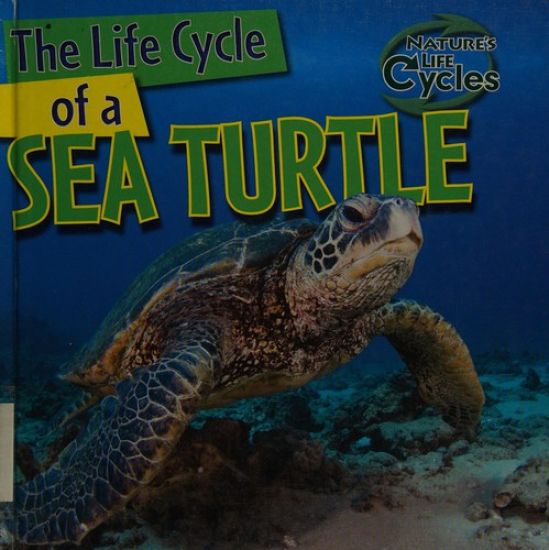 The Life Cycle of a Sea Turtle
