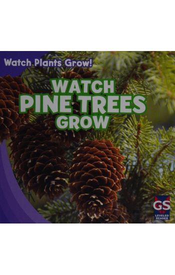 Watch Pine Trees Grow