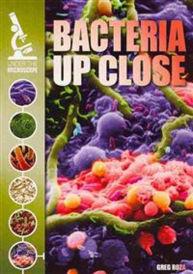 Bacteria Up Close