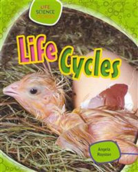 Life Cycles