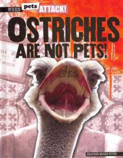 Ostriches Are Not Pets!