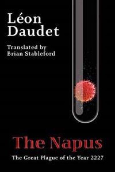 The Napus