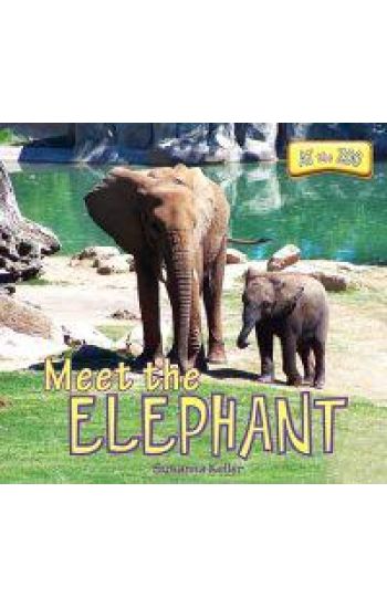 Meet the Elephant