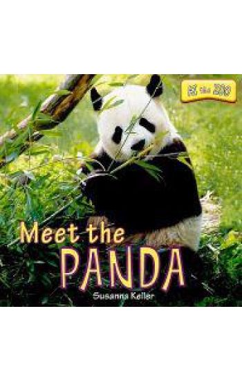 Meet the Panda