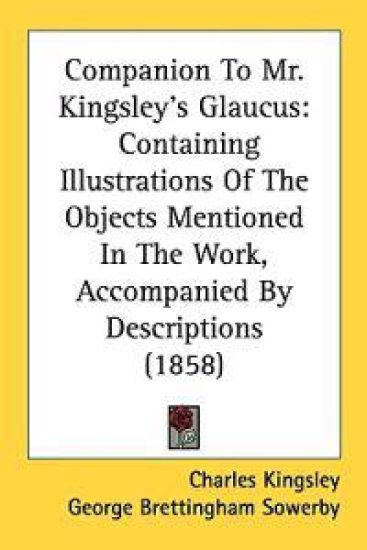 Companion To Mr. Kingsley's Glaucus: Containing Illustrations Of The Objects Mentioned In The Work, Accompanied By Descriptions (1858)